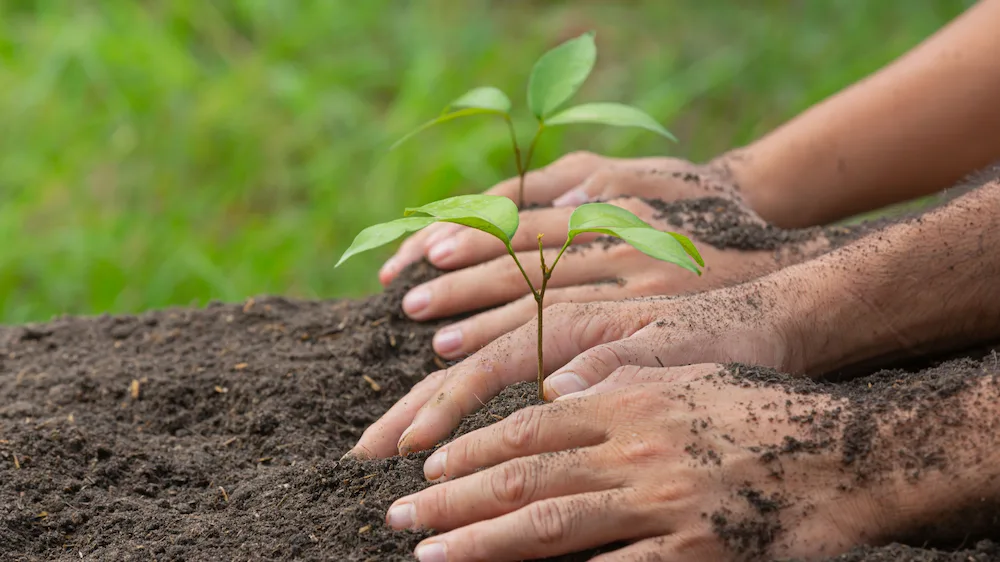 Responsabilit&agrave;